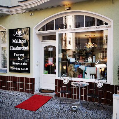 Meiland-Haarinstitut Haarspezialisten für Haarersatz