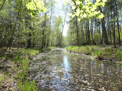 Krumme Lake Grünau