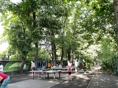 Tischtennisplatten
