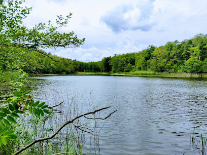 Krumme Laake/Pelzlaake