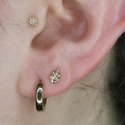 naked steel piercing