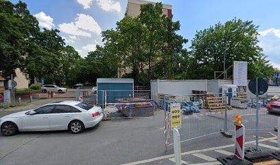 Julien's Kingdom