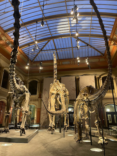 Museum für Naturkunde