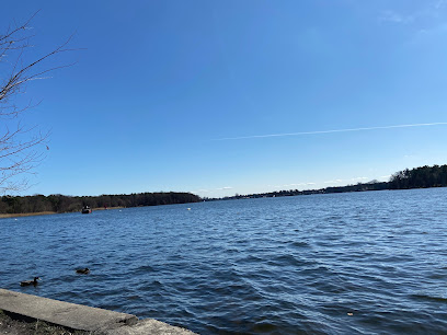 Seddinsee