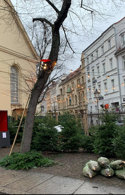 Ketelstannen - Weihnachtsbaumverkauf